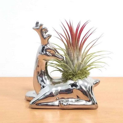 Reindeer Vase with Air Plant