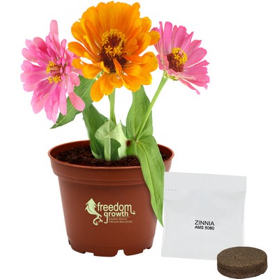 Terra Cotta Wee Planter Kit