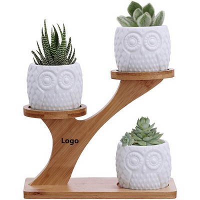 3pcs Succulent Pots with 3 Tier Bamboo Saucers Stand Holder