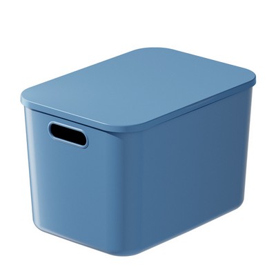 Plastic Storage Bin With Lid - By Boat