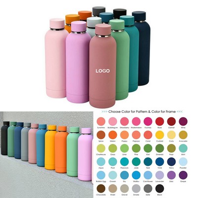 Multicolor 17oz Stainless Steel Vacuum Bottle