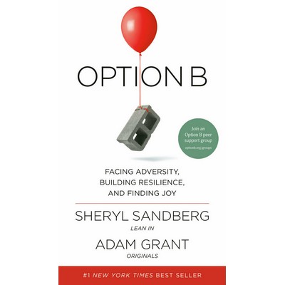 Option B (Facing Adversity, Building Resilience, and Finding Joy)