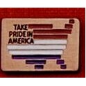 Patriotic - Take Pride in America Lapel Pin