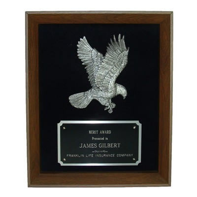 8 x 10 Eagle Shadow Frame Award