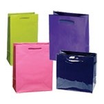 Classic Laminated Euro Paper Tote Bag w/Rope Handles (16"x6"x12")