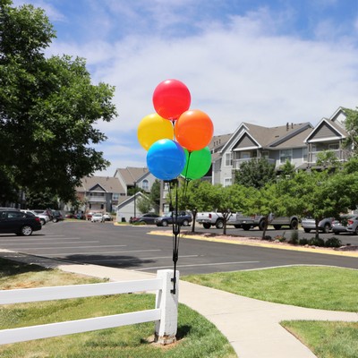 Balloon Bobber Cluster Pole Kit w/ Screw Brackets