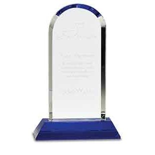 Vision Crystal Award, 9 1/4"H