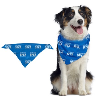 Pet Bandana