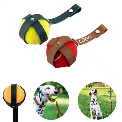 Dog Chew Training Ball Toy