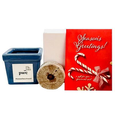 Season's Greetings Flower Seed Kit in Ceramic Pot