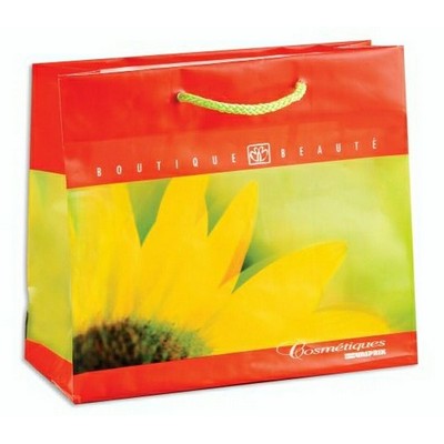 Custom Printed High Gloss Paper Shopping Bag (10"x4"x8")