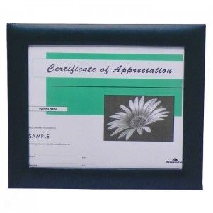 Padded Certificate/Photo Frame (8 1/2"x11" Insert Size)