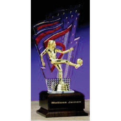 10" Soccer Trophy