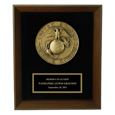 9 x 12 Marine Seal Shadow Frame Award