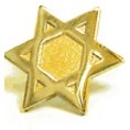 Gold Star Of David Stock Lapel Pin