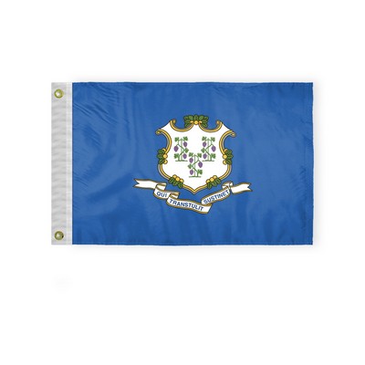 Connecticut Flags 12x18 inch