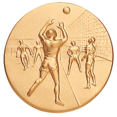 2" Volleyball Male Stamped Medallion Insert Disc