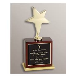 Polished Star Award 7 1/2"H