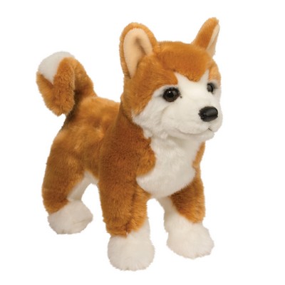 Dunham Shiba Inu