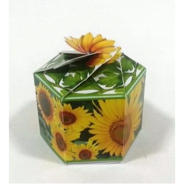 SeedGems™ Paper Planter® Dwarf 'Autumn Beauty' Sunflower Biodegradable Grow Kit