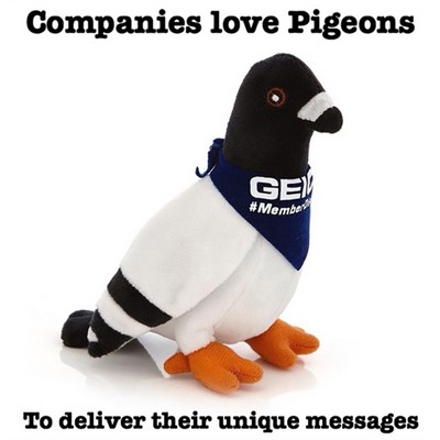 Pigeon Plush Toy Pigeon Plush Toy