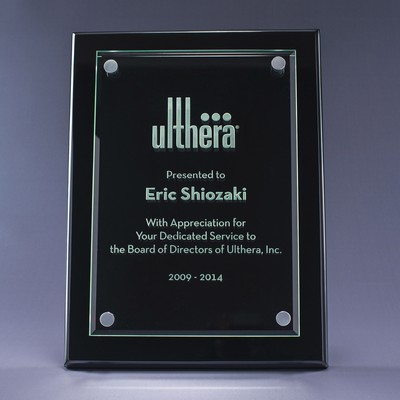 Versa Plaque Award (8"x 12")