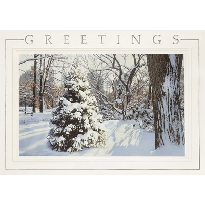 Hidden Treasure Holiday Cards