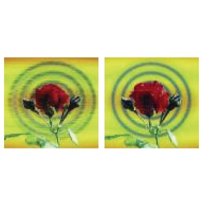 HD Lenticular Magnet (3" x 3")