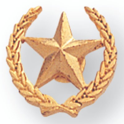 ½" Star w/Wreath Die Struck Gold Plated Pin