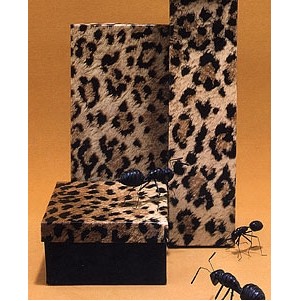 Leopard Print 2 Piece Fiber Filled Jewelry Box (8"x2"x7/8")