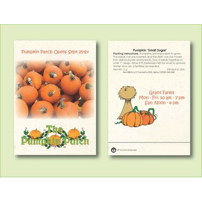 'Small Sugar' Pumpkin Seed Packet (3.25" x 4.5")