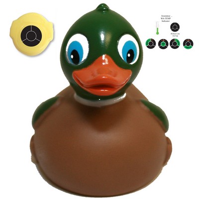 Temperature Mallard Rubber Duck