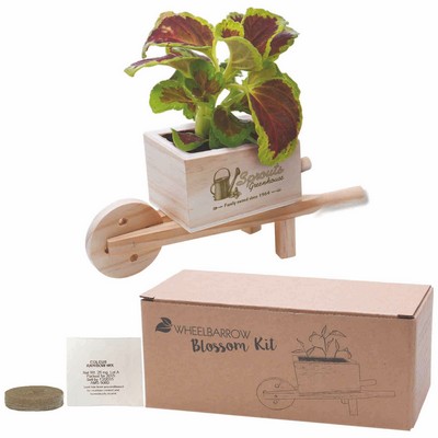 Wooden Wheel Barrow Blossom Kit w/Seeds