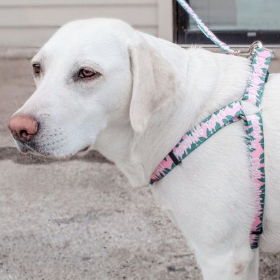 Custom Nylon Dog Step-In Harness