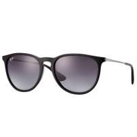 Ray-Ban Erika Classic Glasses