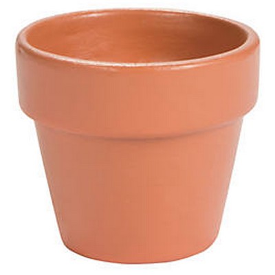 Mini Terra Cotta Pots