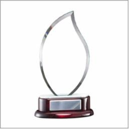 Flame Glass/Metal Award