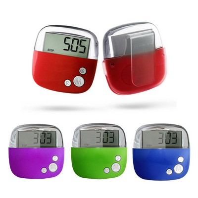 Flip Clip Pedometer