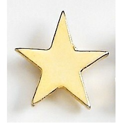 Flat Star Marken Design Quick Ship Cast Lapel Pin (1/2")