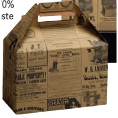 Newsprint Collection Gable Box (8"x4 7/8"x5 1/4")