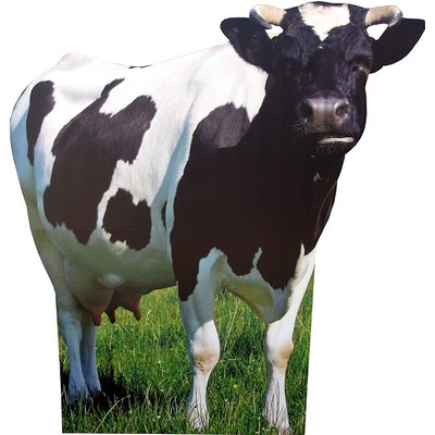 Cow Animal Cardboard Cutout Stand Up| Standee Picture Poster Photo Print