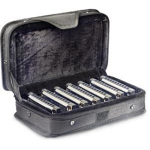 Stagg Harmonica Set w/Case