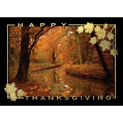 Autumn's Glory Greeting Card