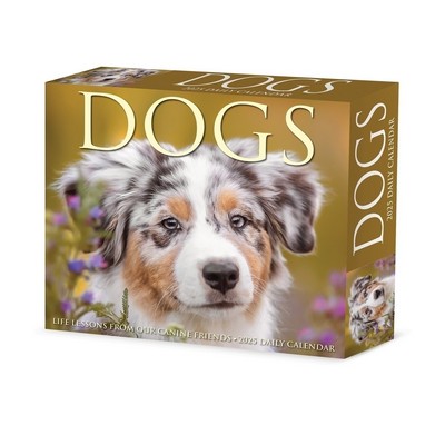 Dogs 2025 6.2" x 5.4" Box Calendar