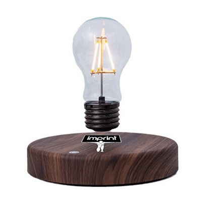 Suspended Light Bulb