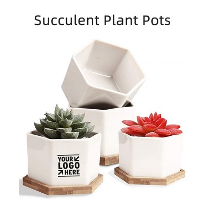 White Ceramic Succulent Planters with Bamboo Tray