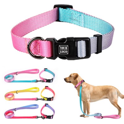 Dog Collar With Leash