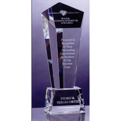 10" Crystal Vision Award