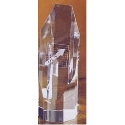 6" Octagon Award