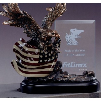 Eagle w/U.S. Flag & Glass Imprint Frame Trophy (9"x10")